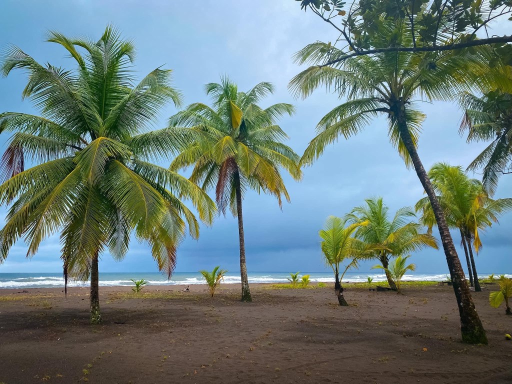 tortuguero National Park