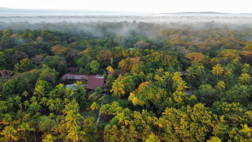 tortuguero National Park