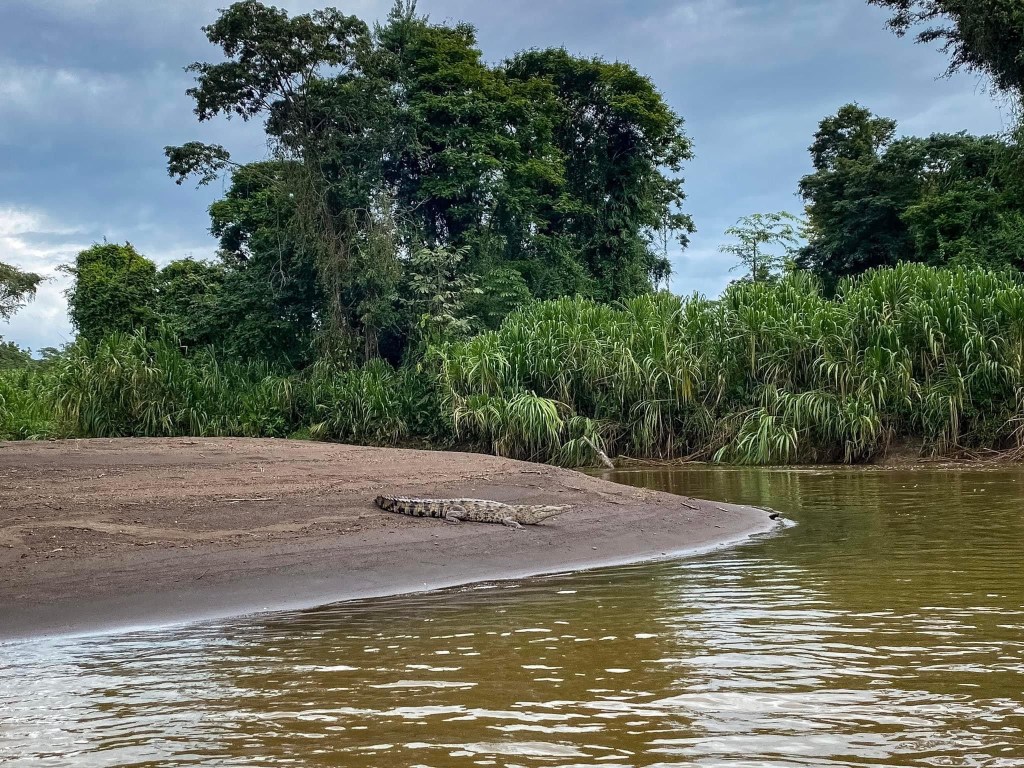 Tortuguero National Park