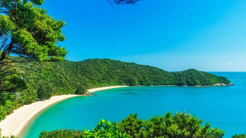 pitt head lookout