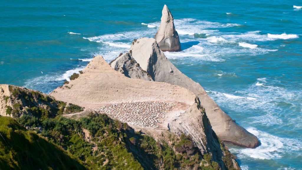cape kidnappers