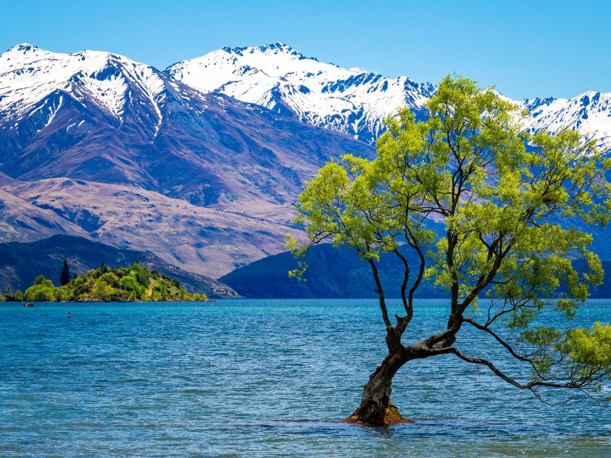 30 Best Views in New Zealand: Beautiful Destinations