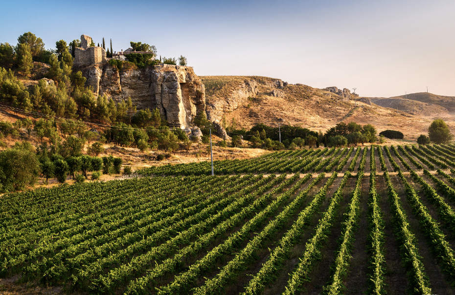 wine region