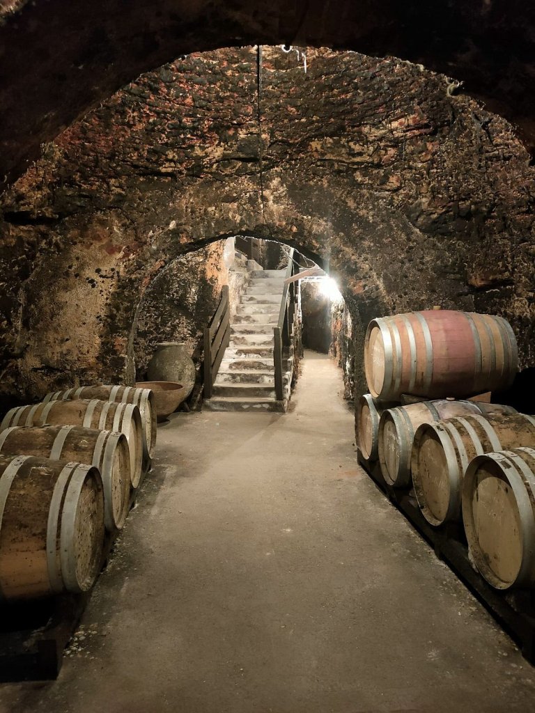 madrid wine