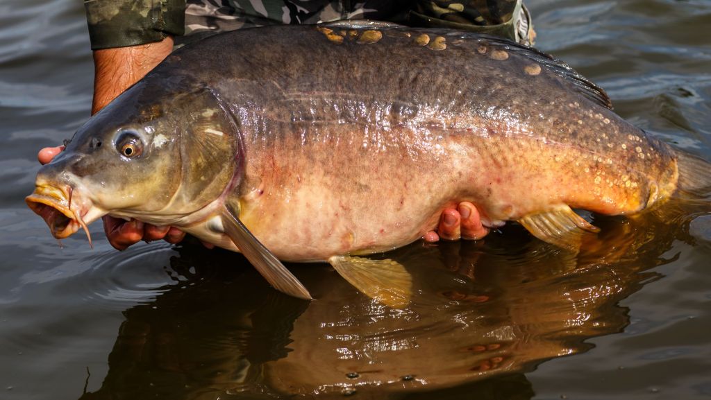 fishing lakes in oxfordshire
