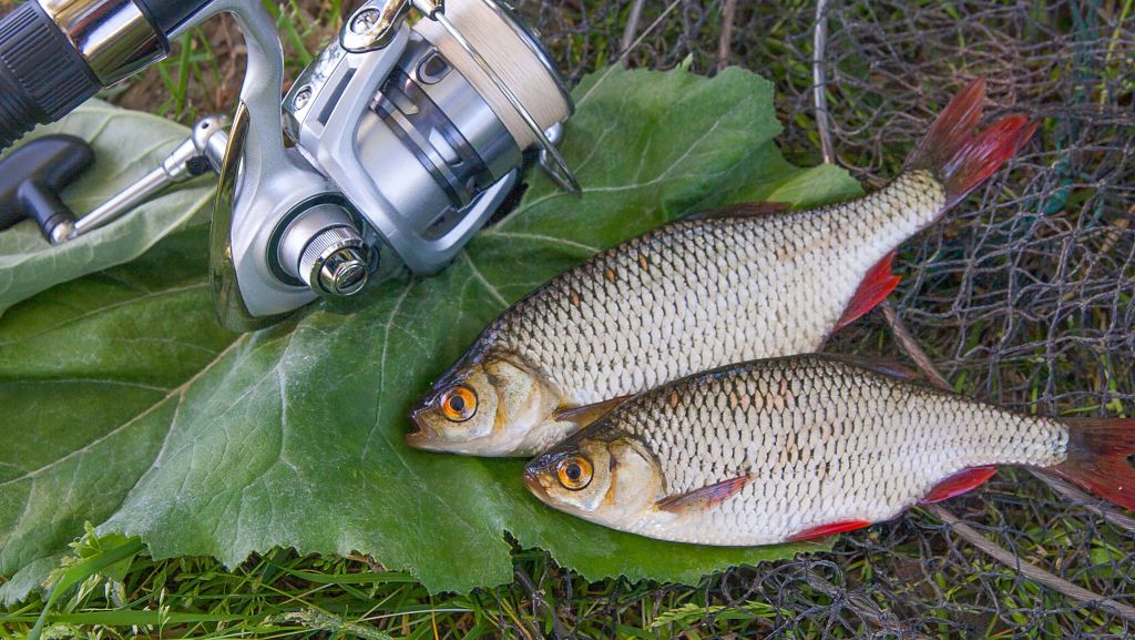 fishing lakes in oxfordshire