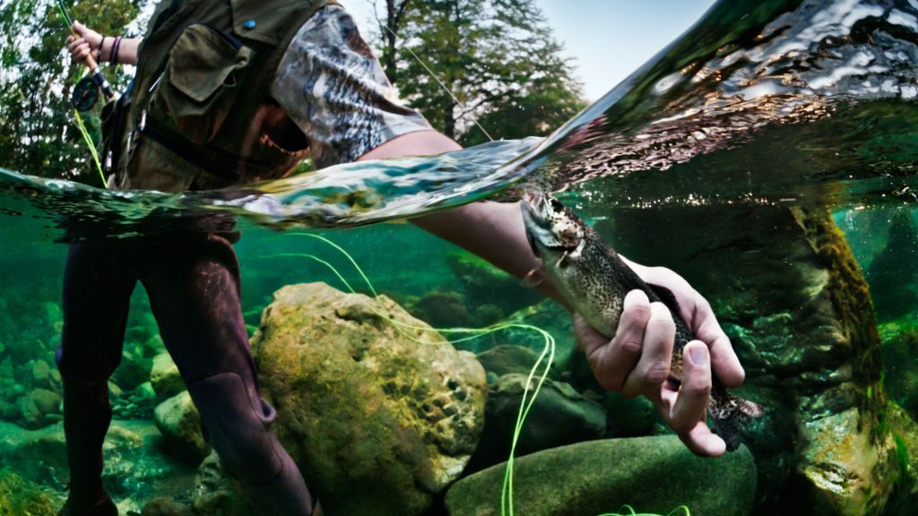 Showing the Best Fishing Lakes in Oxfordshire 