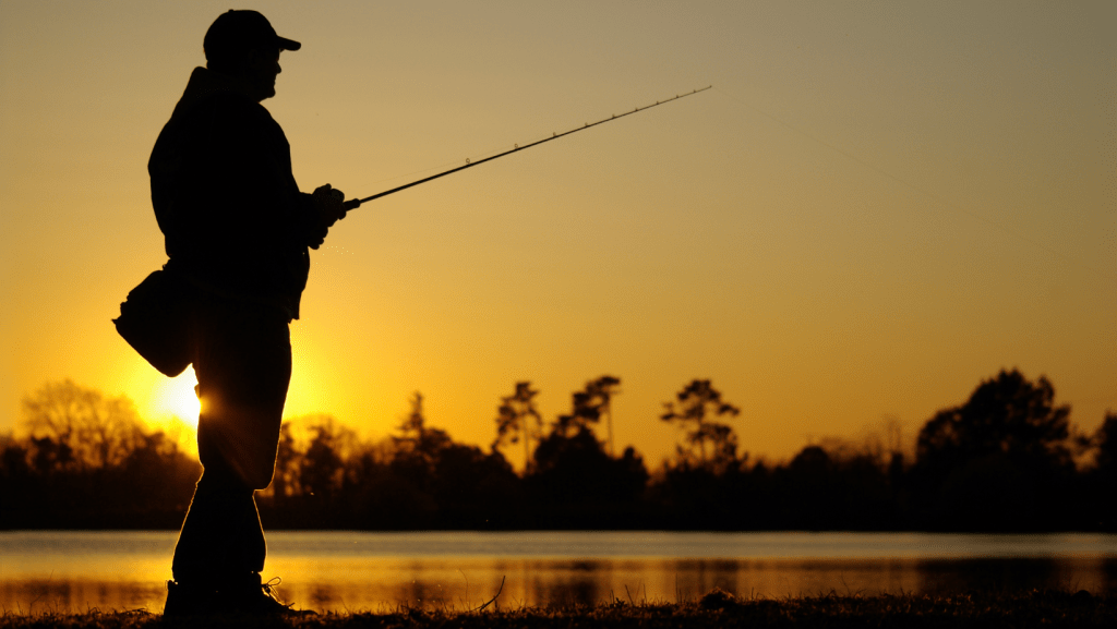 Fishing Lakes in Hertfordshire