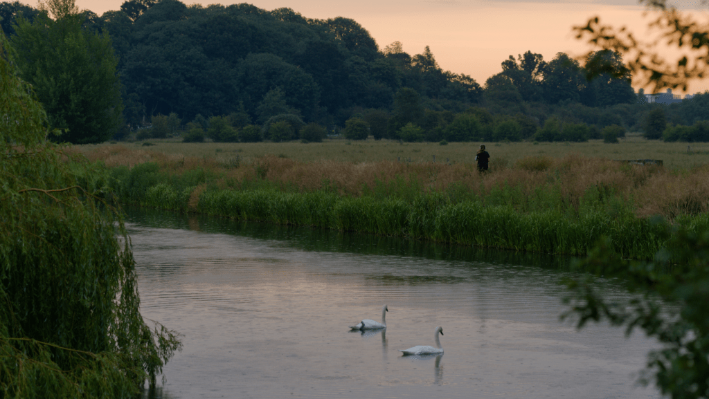 Fishing Lakes in Hertfordshire