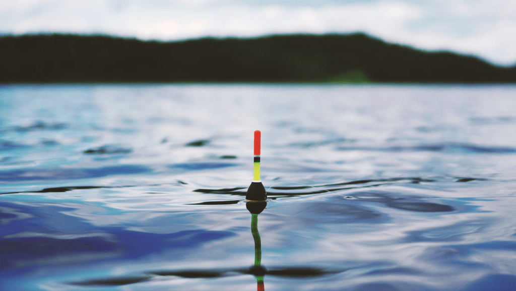 Fishing Lakes in Hertfordshire