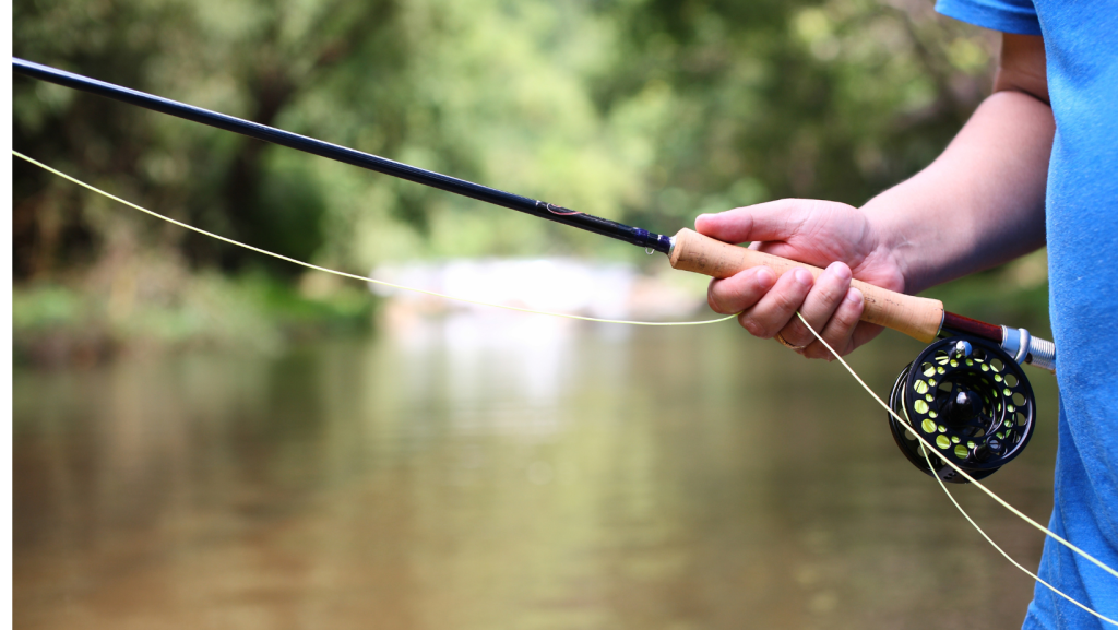 Fishing Lakes in Hertfordshire