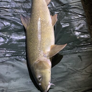 Fishing Lakes in Hertfordshire