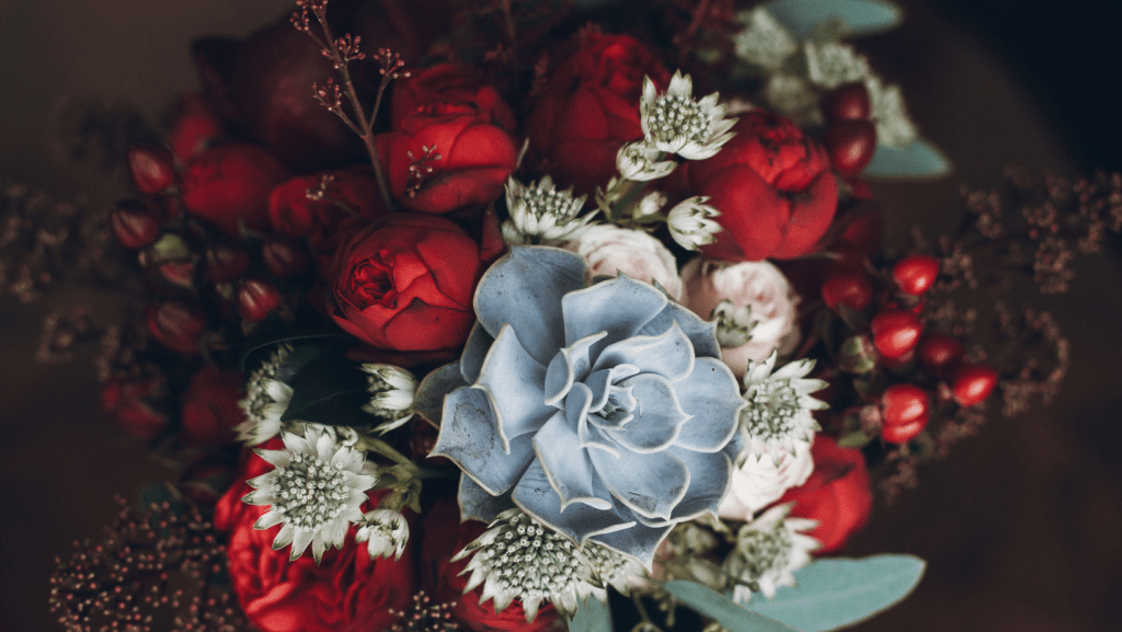 Succulents Spiritual Meaning