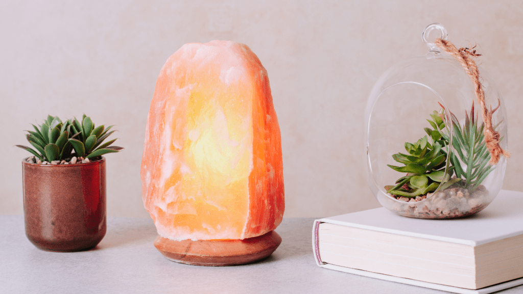 Succulents Spiritual Meaning