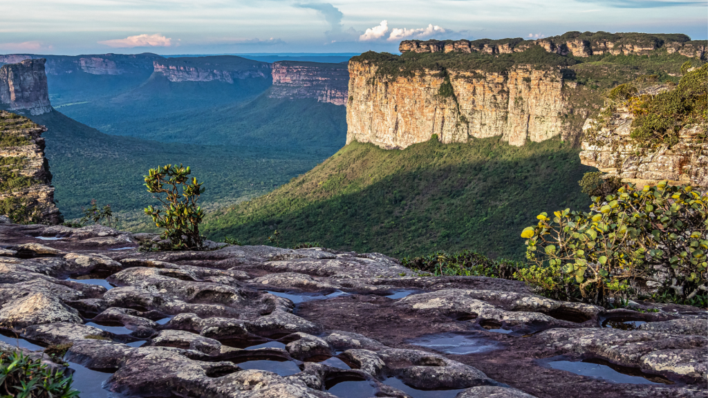 fun things to do in brazil