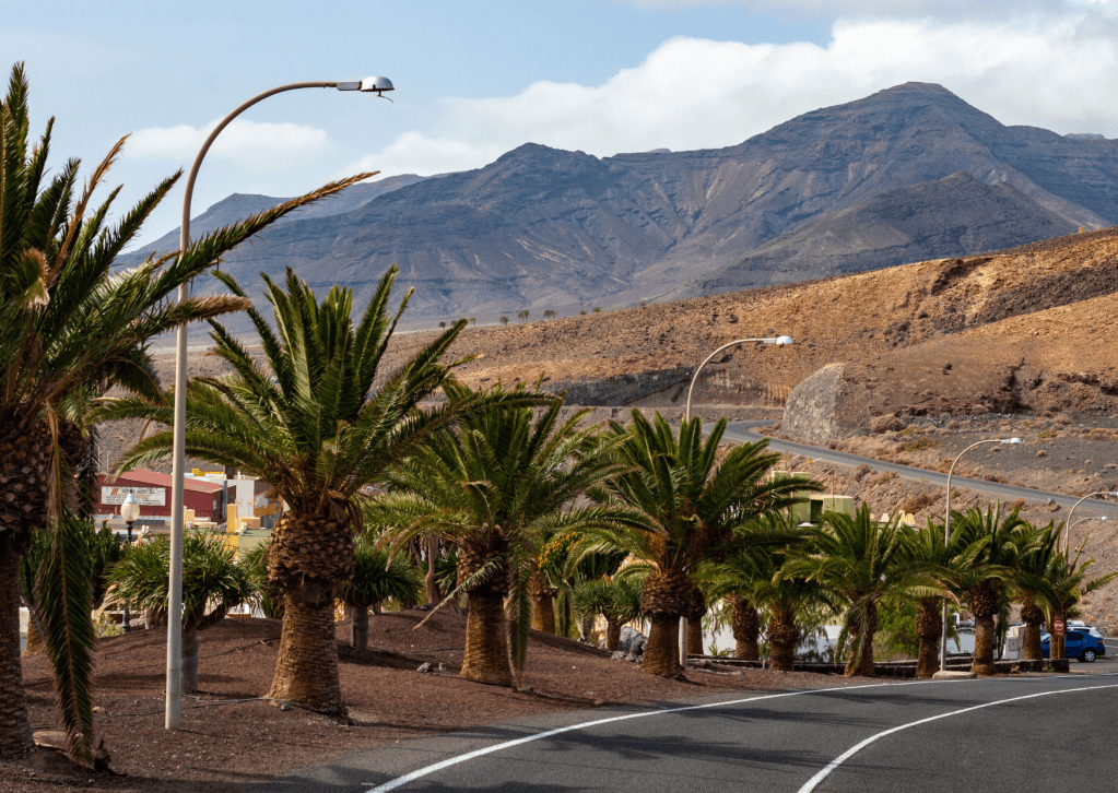 best things to do Fuerteventura
