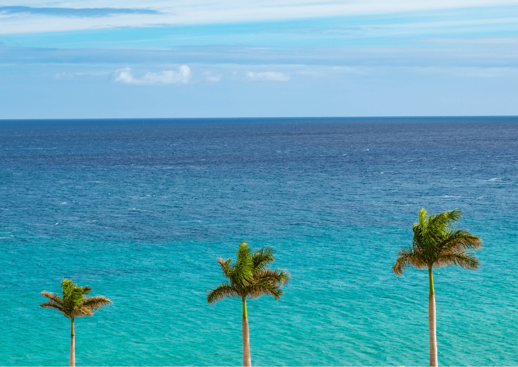 best things to do Fuerteventura