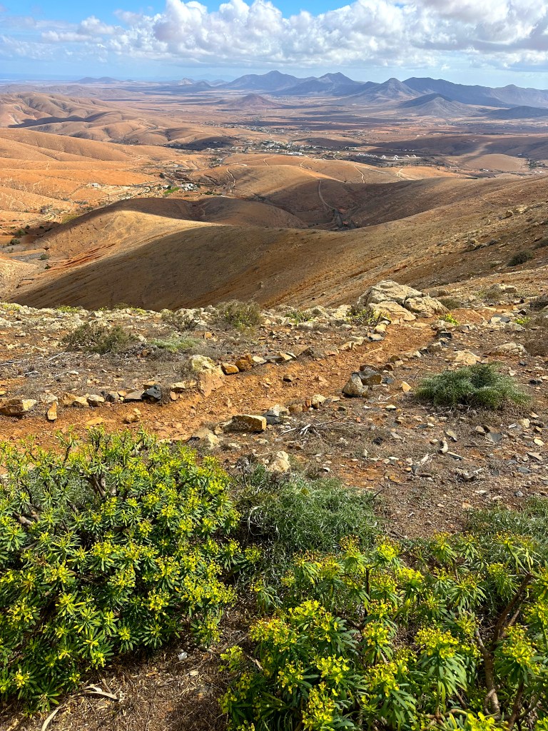 best things to do in Fuerteventura