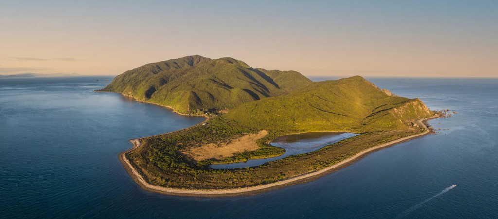 Best City in New Zealand