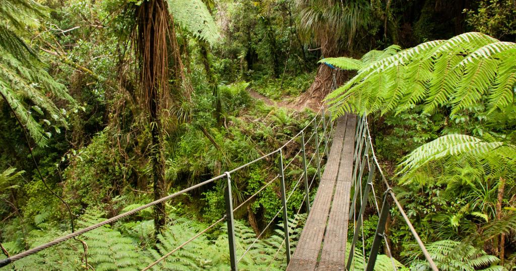 Best City in New Zealand