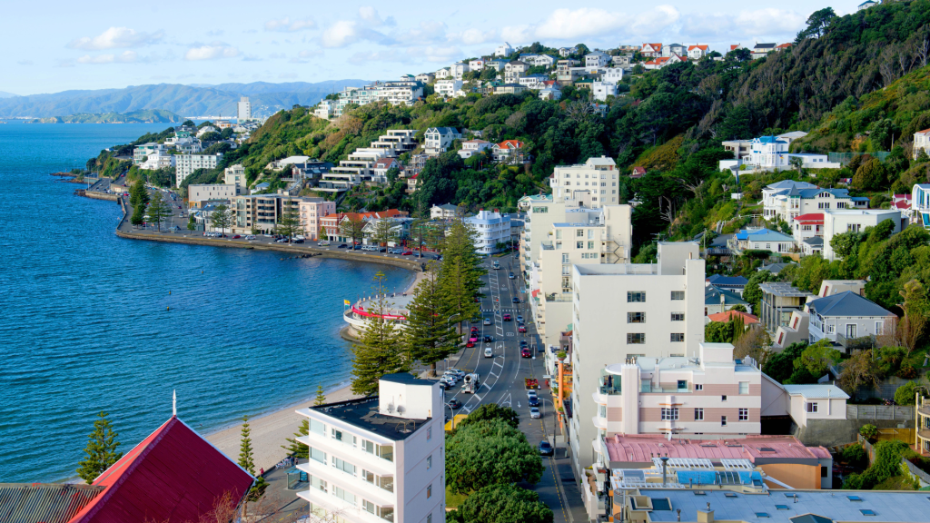 Best City in New Zealand