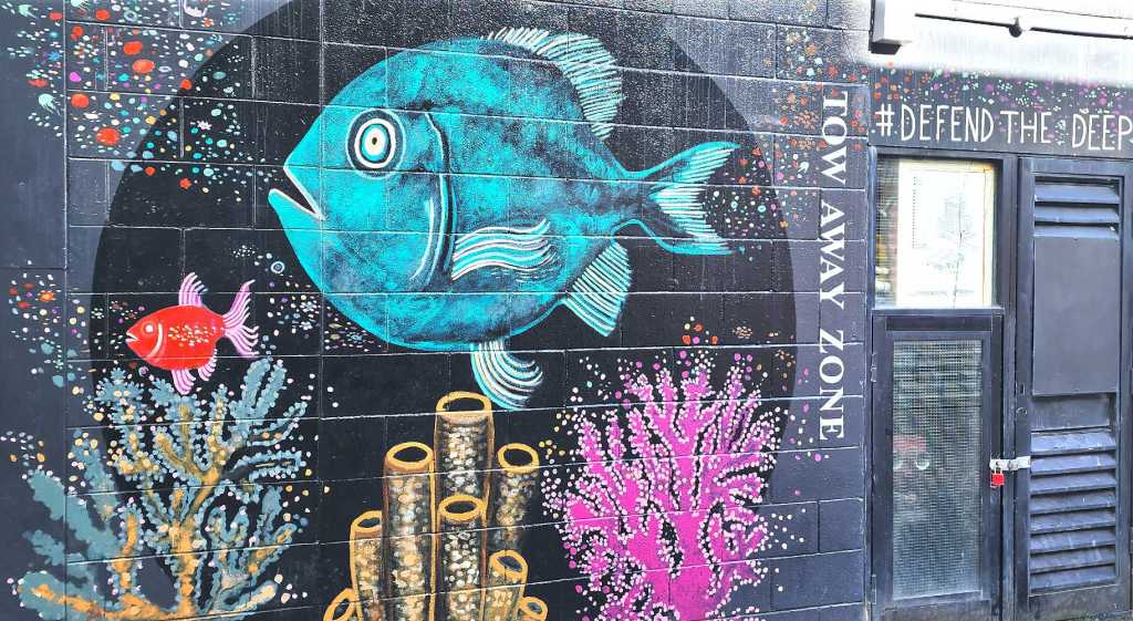 Best City in New Zealand